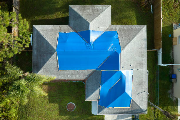 Best Asphalt Shingle Roofing  in Chula Vista, CA